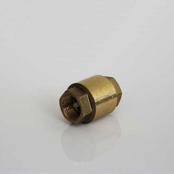 Brass check valve