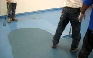 Epoxy solvent borne