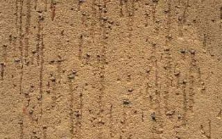 Maplexine scratched finish